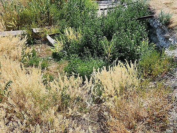 5th image of Nhn Copper City Blm Rd