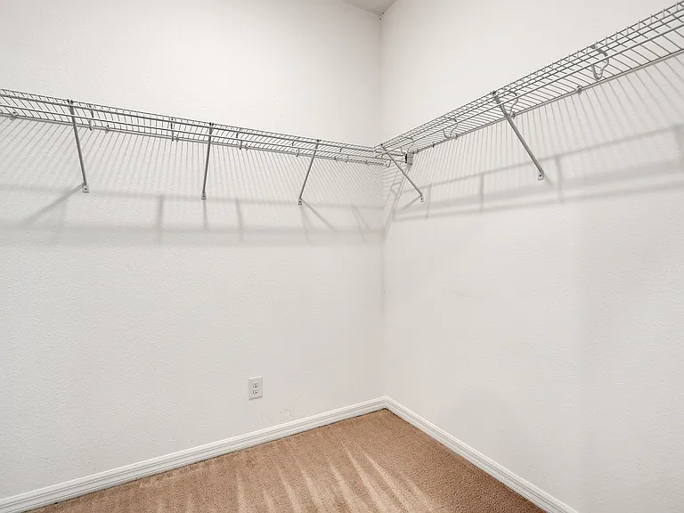 Walk in closet - primary