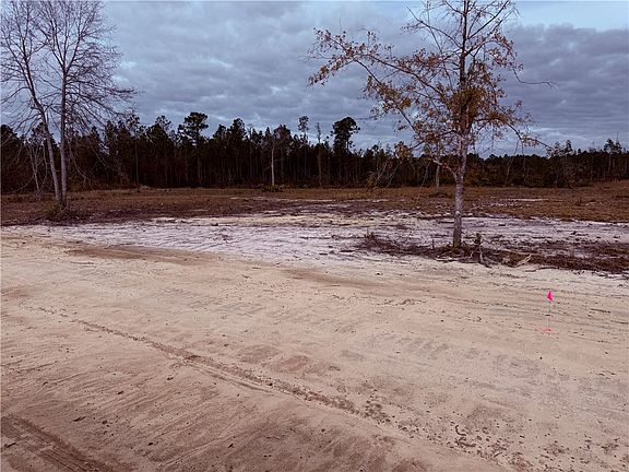 4th image of 10 Wiregrass Ln