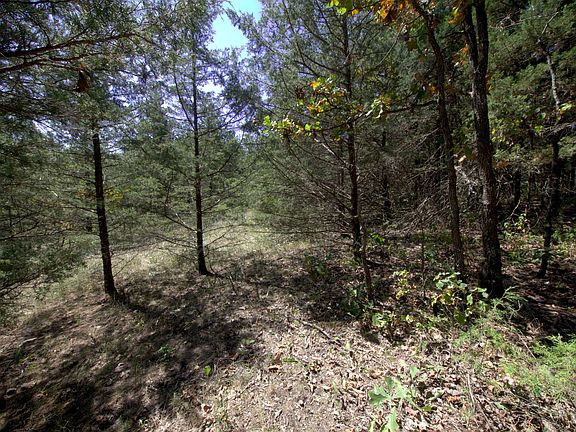 3rd image of Tract 2 Simpson Rd