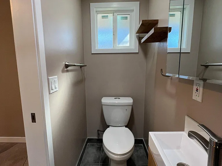 New dual flush toilet.