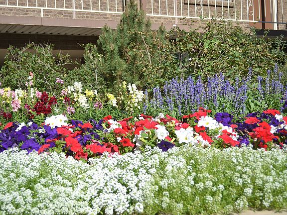 Beautiful Landscaping