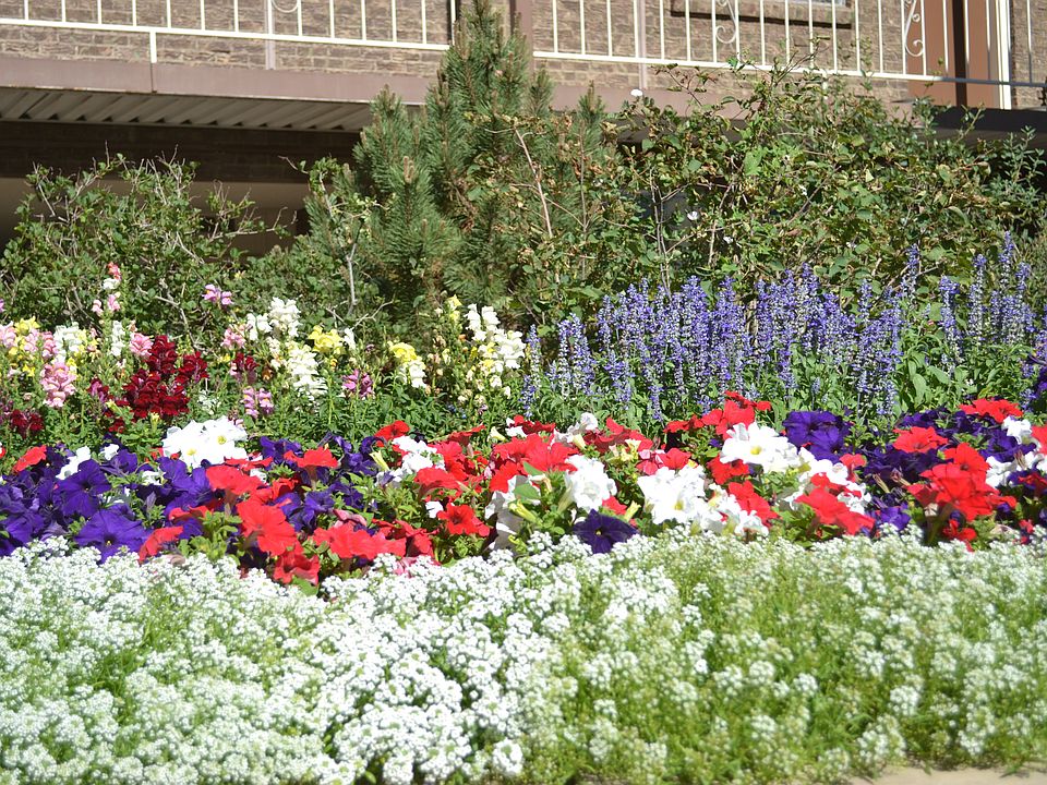 Beautiful Landscaping
