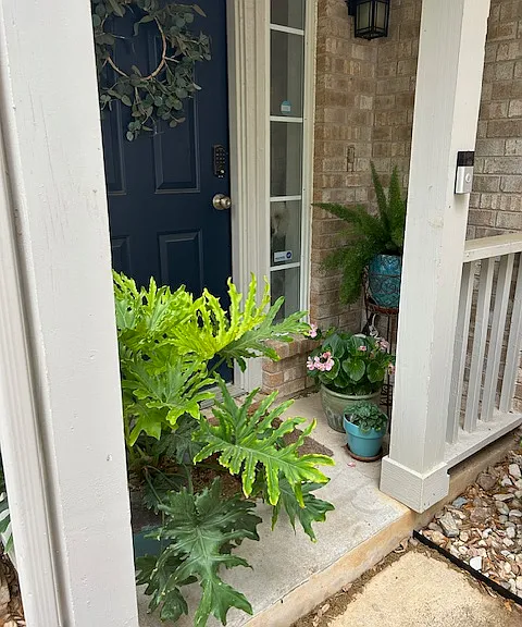 114 Prairie Springs Loop — Photo 2