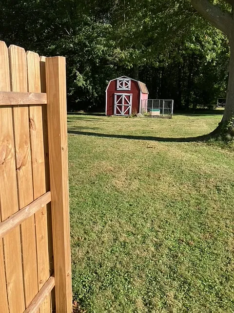 2 bed, 800 sqft, $1,500 — Photo 2