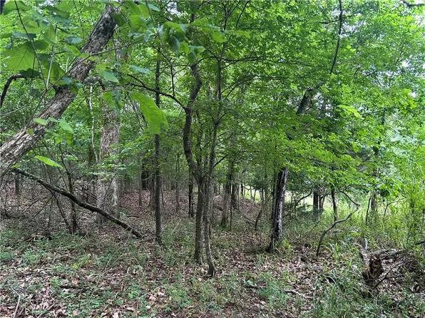 Trammell Dr Lot 6, Lowell, AR 72745