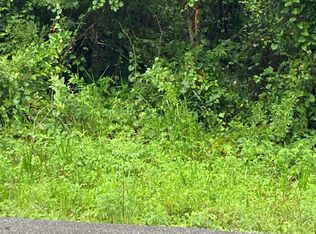 118 Saint Lucie St, Florahome, FL 32140