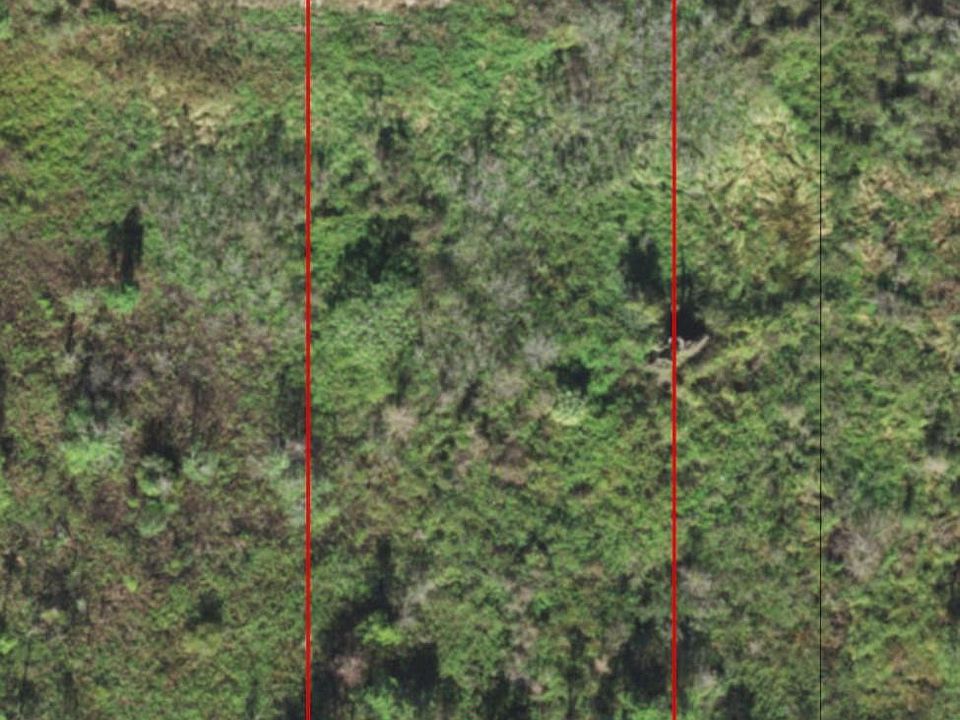 2nd image of 0 Polk City Road