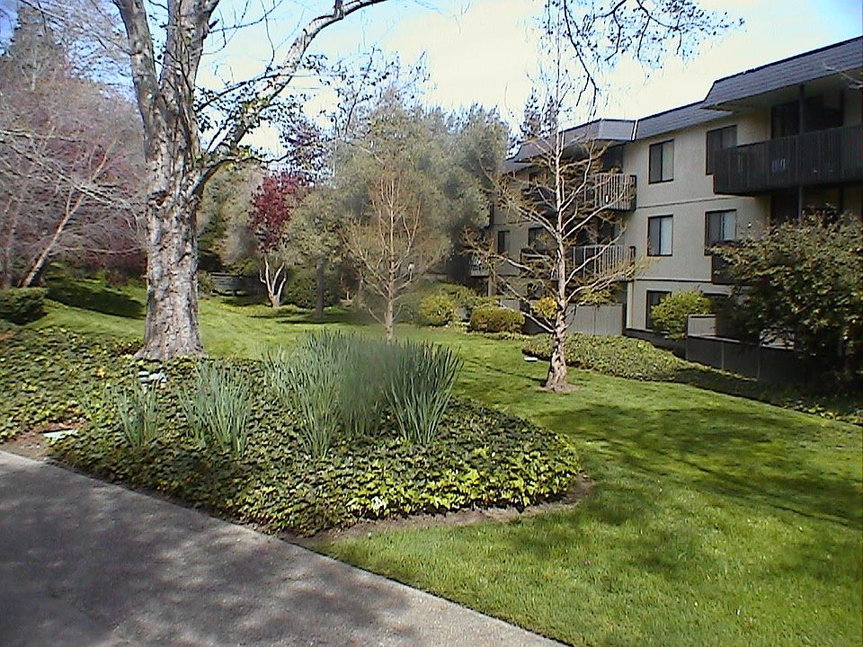 1st image of 1259 Shelter Creek Ln