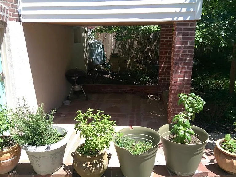 back patio