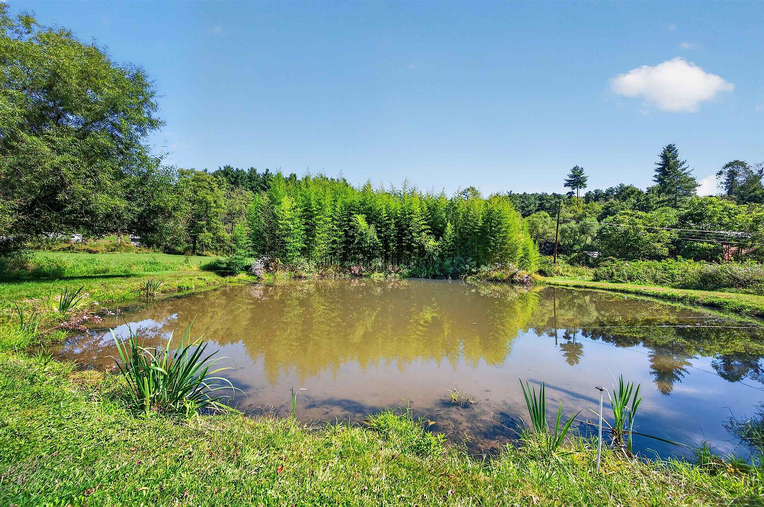 94 Stevens Creek Rd, Fries, VA 24330 — photo 46