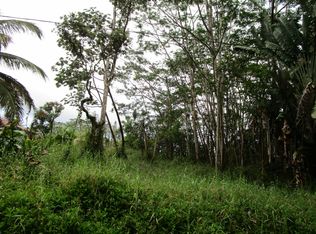 16th Ave LOT 693, Keaau, HI 96749