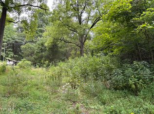 Willow Springs Rd, Elizabethton, TN 37643