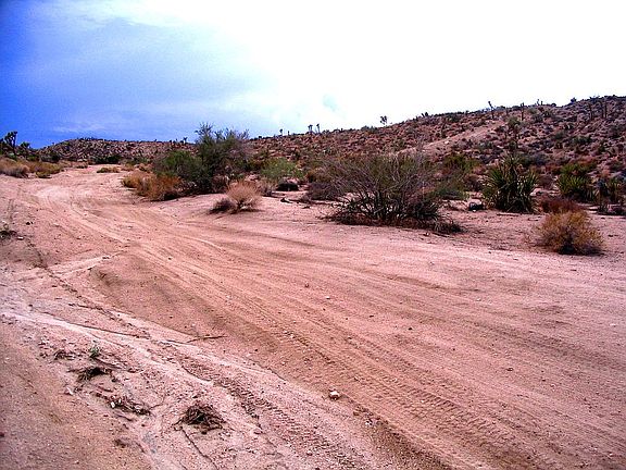 4th image of 57850 El Cielo Ave