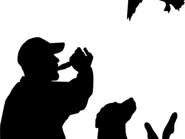 0 State Highway 53, Campbell, MO 63933