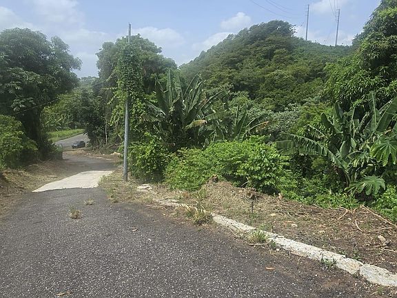2nd image of 0 Bo Rosario Hormigueros