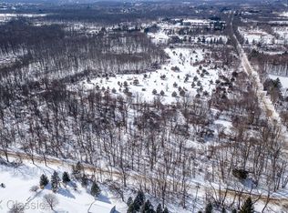 0 Kearney Rd, Whitmore Lake, MI 48189