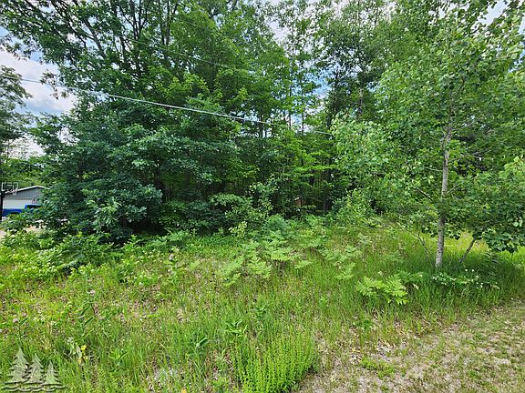 4th image of LOT 144 Big Buck Dr