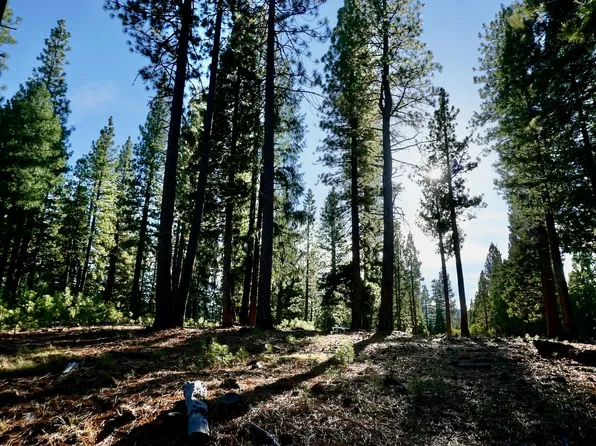 1899 Red Fox Rd, Clio, CA 96106