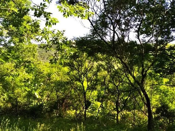 N Branch Callicoon Center Road, North Branch, NY 12766