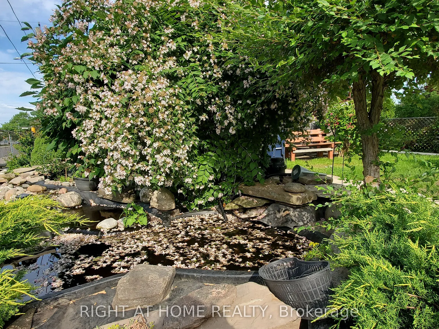 3 bed, $2,800 — Photo 2