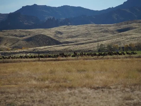 31 Stillwater Dr #121, Cody, WY 82414