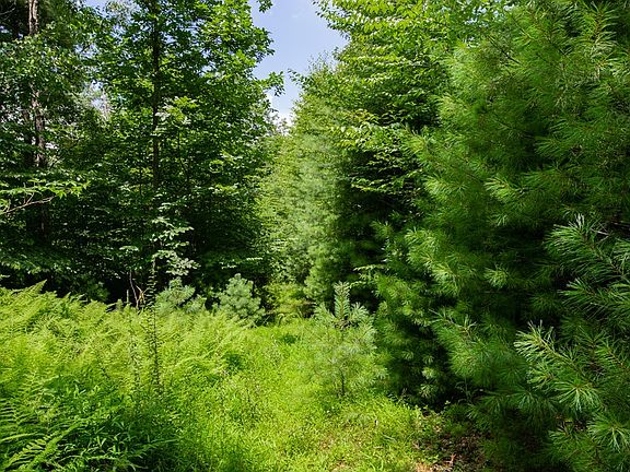 5th image of Pipers Woods Dr
