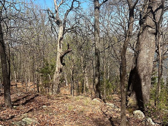 3rd image of 6 S 511th Rd