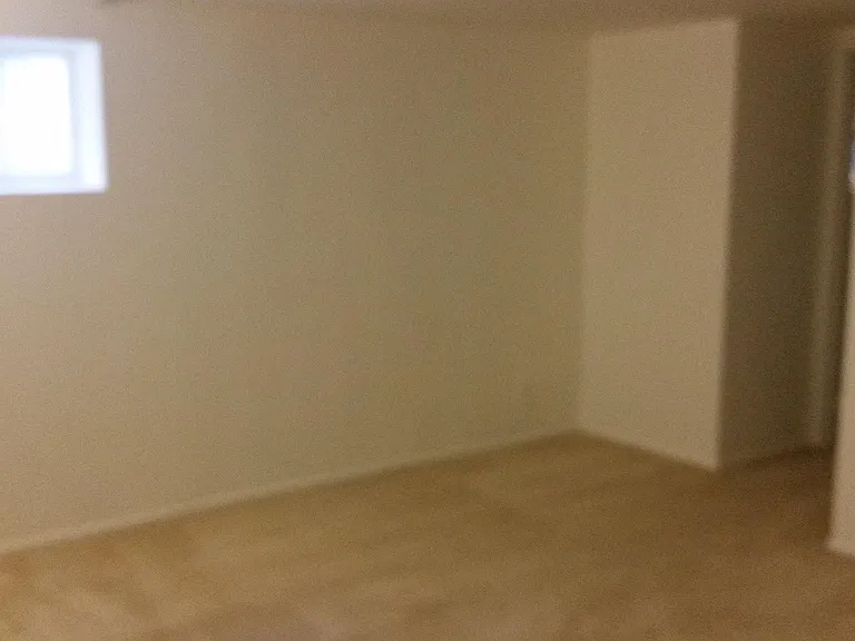 Lower Level Den #3