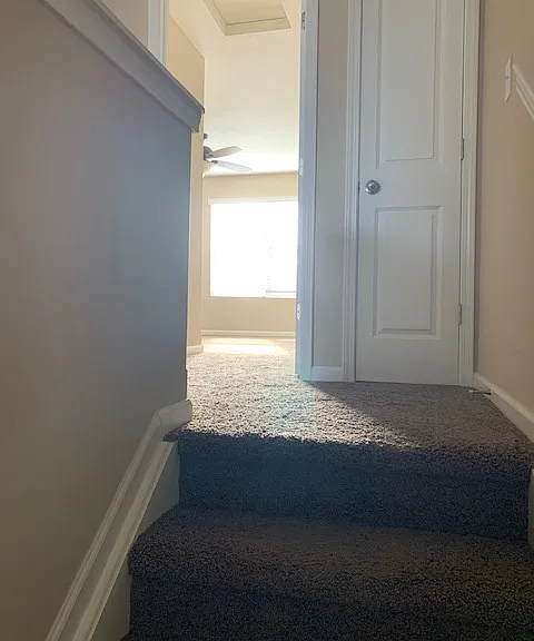 5931 Winberry Creek Dr — Photo 20