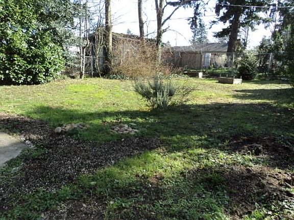 BACK YARD 2