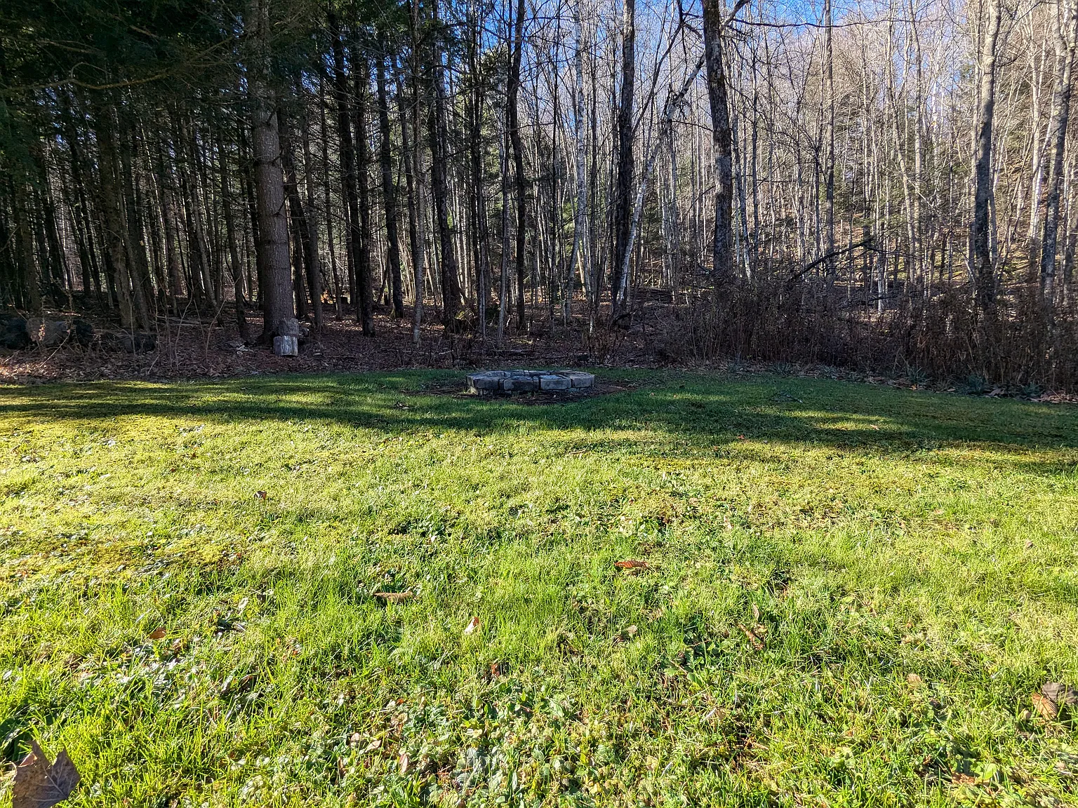 2 bed, 924 sqft, $2,000 — Photo 4