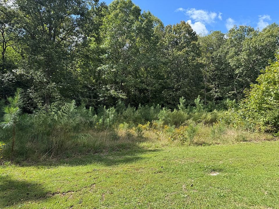 2nd image of LOT 3B Branch Rd