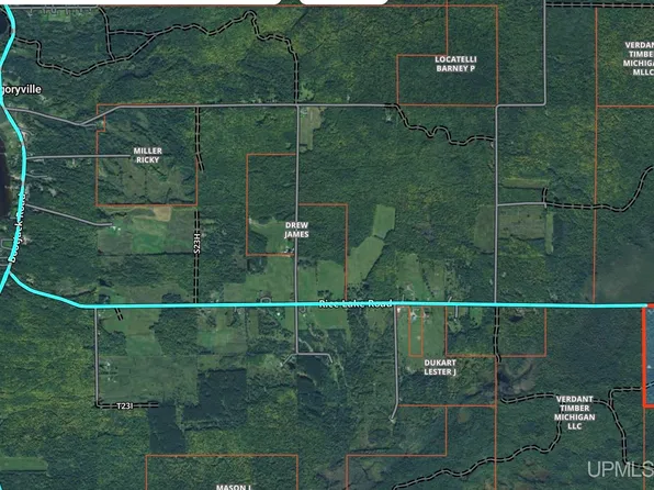 31807 Rice Lake Rd, Lake Linden, MI 49945