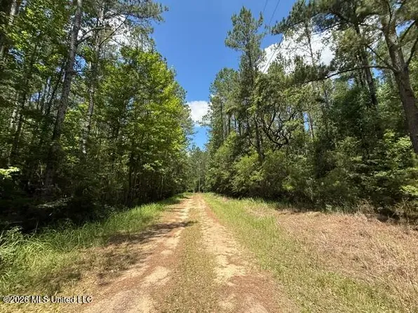 Elmer Hamilton Rd, Moss Point, MS 39562