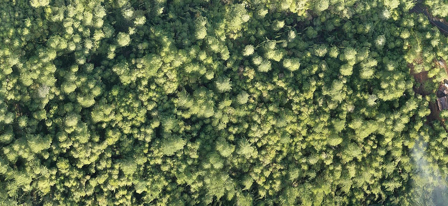 Agness Illahe Rd, Agness, OR 97406 Zillow