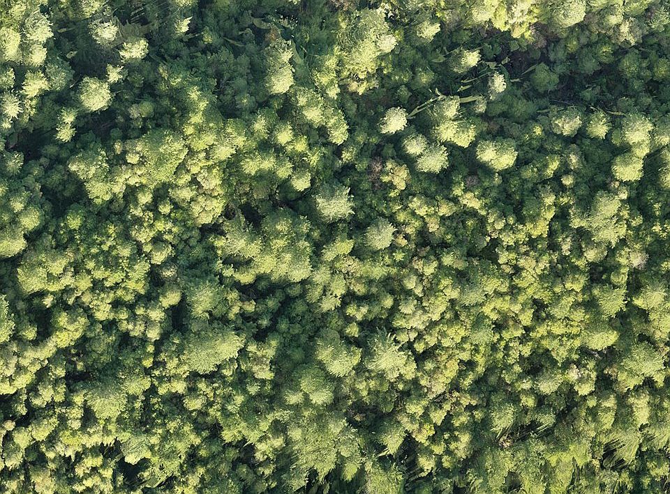 Agness Illahe Rd, Agness, OR 97406 Zillow