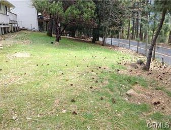 5th image of 15245 Evergreen Dr