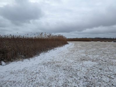 N/a Midshipman Dr, Au Gres, MI, 48703