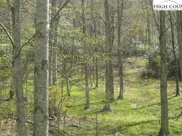 tbd Bob's Mountain Road, Boone, NC 28607