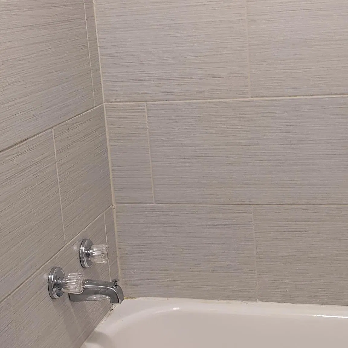 4 bed, 1608 sqft, $1,750 — Photo 4
