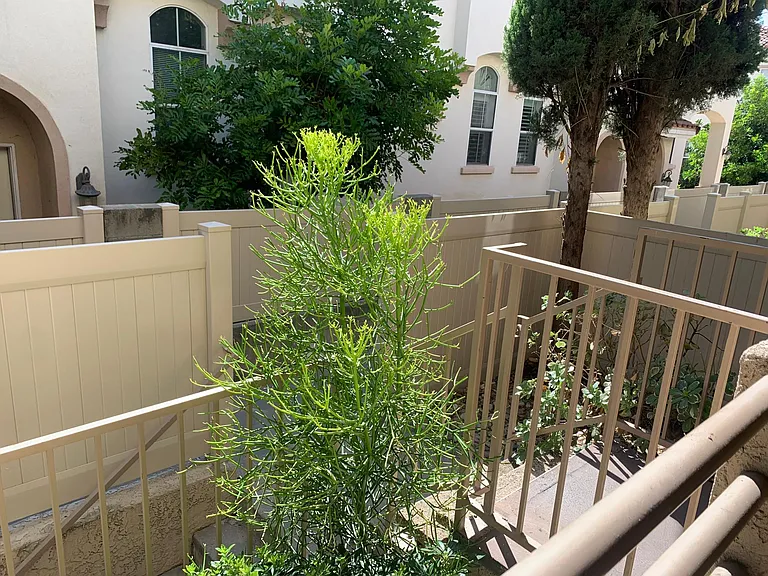 1018 Arcadia Ave #2 — Photo 5