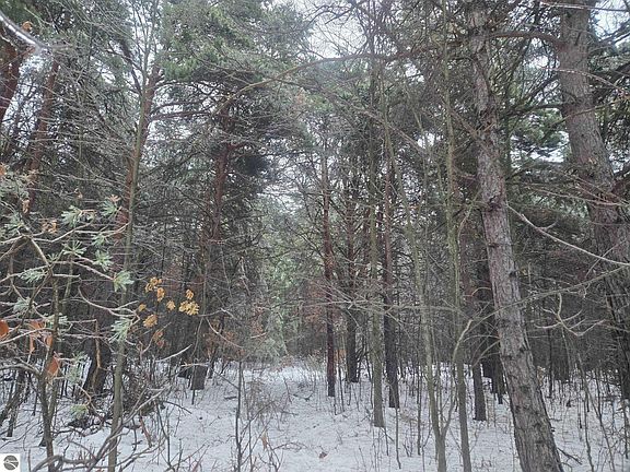 2nd image of 0 S Dickerson Rd