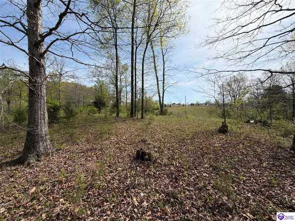 311 Old Glendean Axtel Ln, Hardinsburg, KY 40143