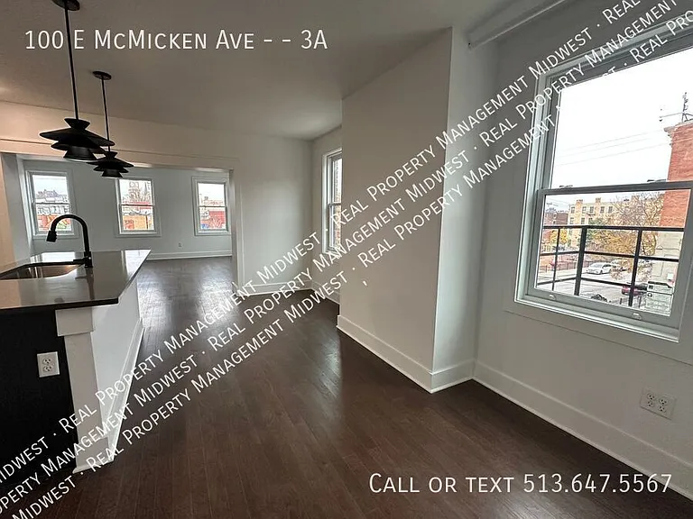 100 E McMicken Ave #3A — Photo 5