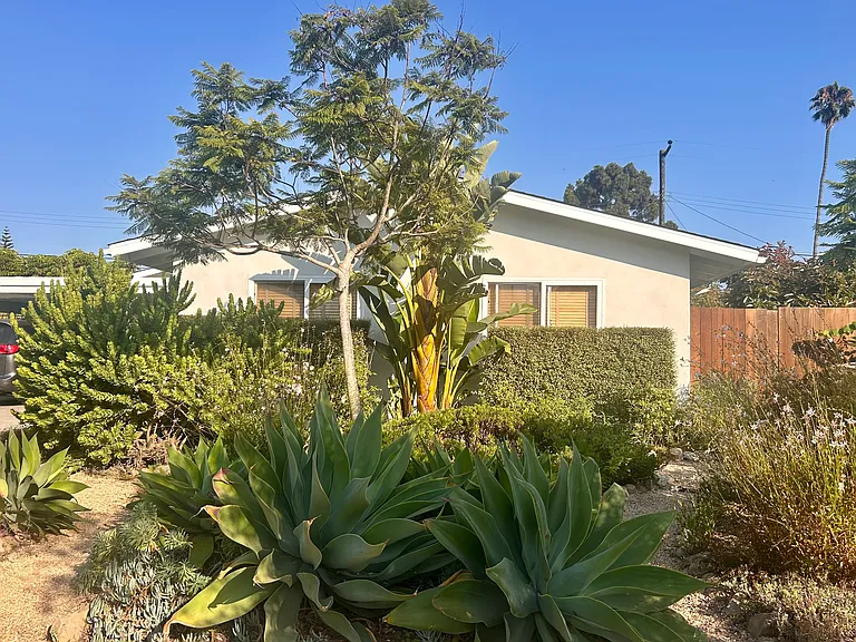 Front of house with waterwise garden and fruit trees.