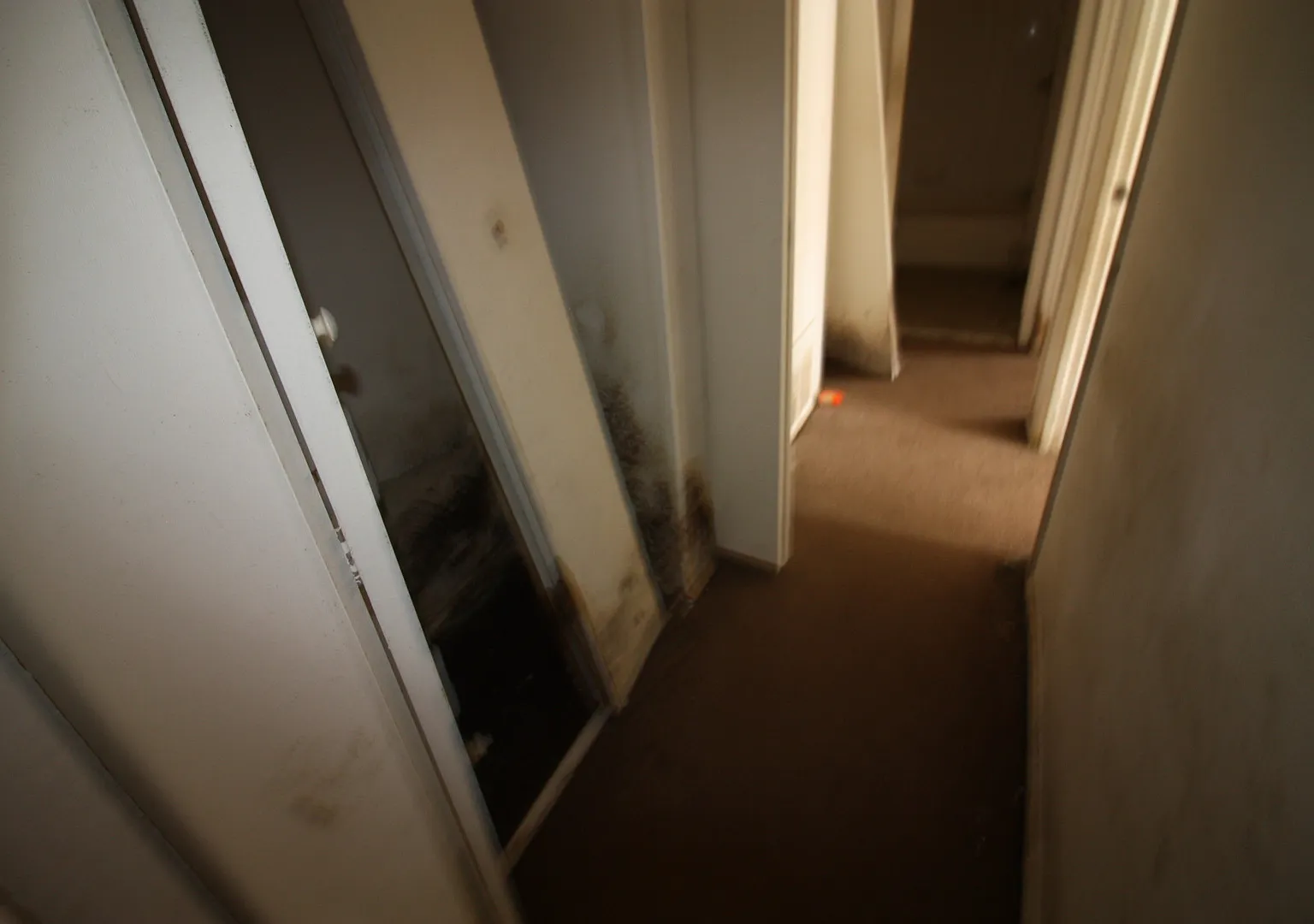 817 Gilrubin Ct — Photo 2