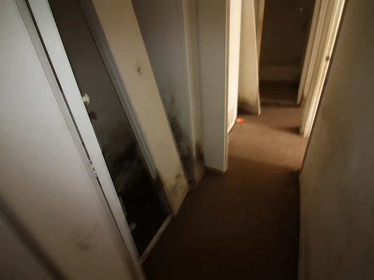 817 Gilrubin Ct — Photo 2