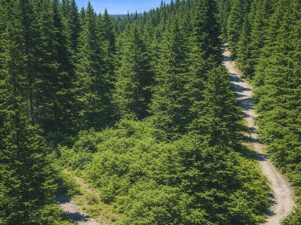 LOT 130 Trellis Dr, Nebo, NC 28761
