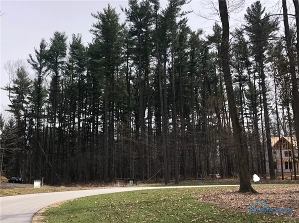 11167 Preserve Blvd, Whitehouse, OH 43571